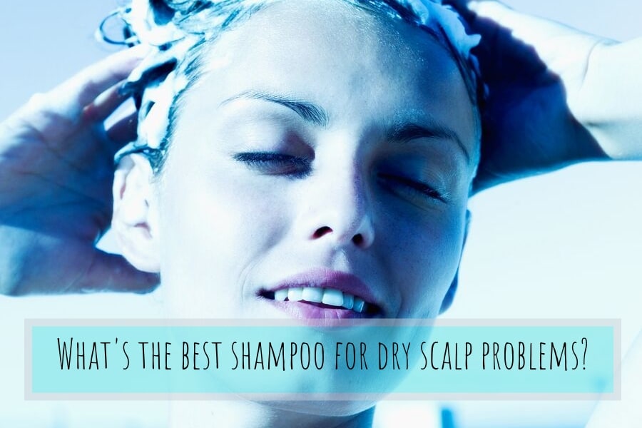 best dry scalp shampoo